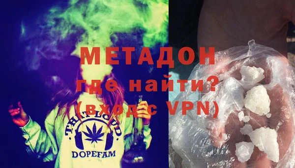 прущие грибы Алзамай