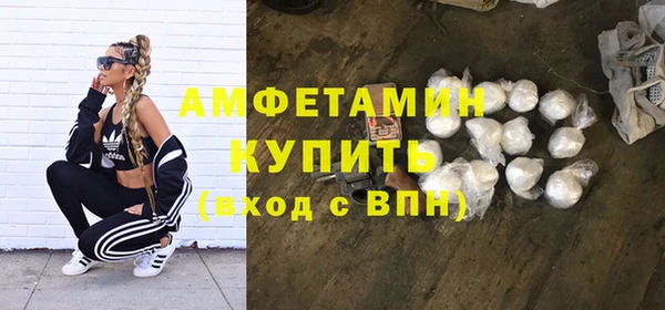 мет Алексин
