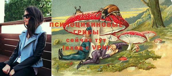 МДПВ Абдулино