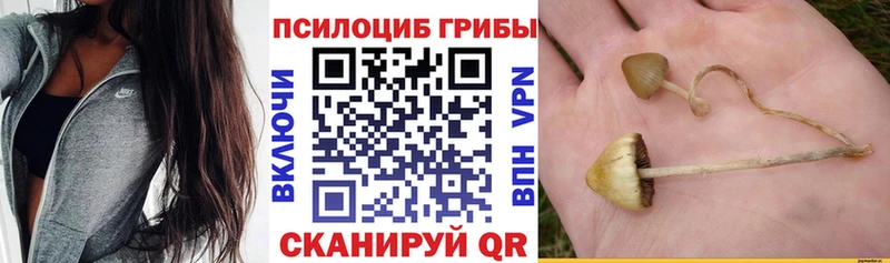 наркота Лысково OMG рабочий сайт Галлюциногенные грибы Cubensis